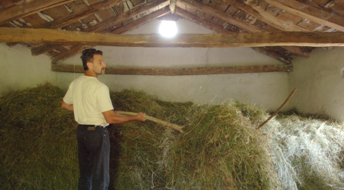 Novi luksuz: Odmor na sjeniku