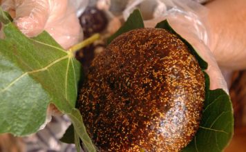 Barban: Smokvenjak je tradicionalna zimnica koja grije srce i dušu