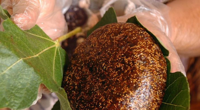 Barban: Smokvenjak je tradicionalna zimnica koja grije srce i dušu