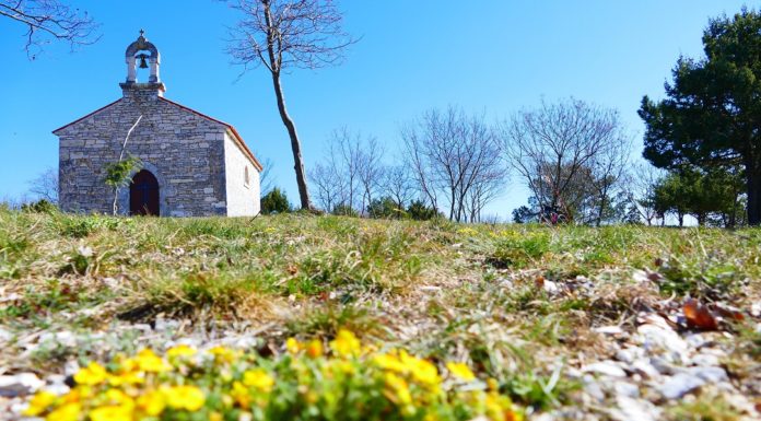 Walk and Taste Barban: Gurmansko pješačenje po Barbanštini