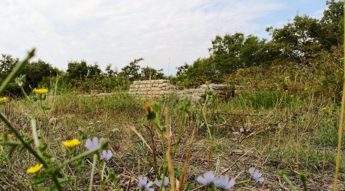 Marčana: Što se krije ispod naslaga zemlje u selu Krvavići?
