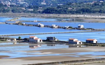 Savudrija i Piran: Susjedi koje povezuju Parenzana, more i solane
