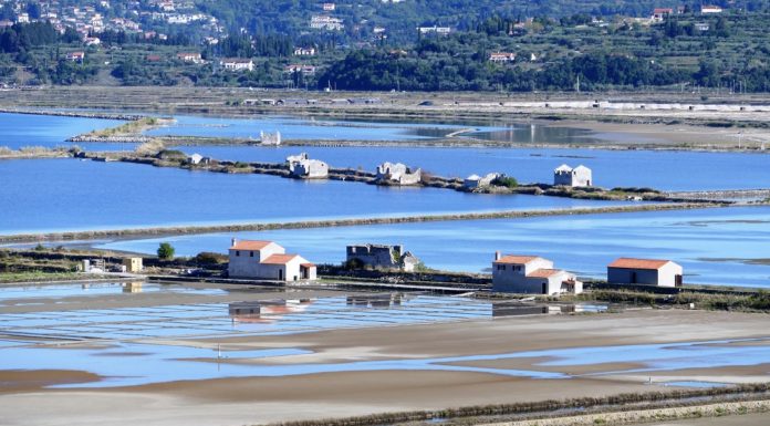 Savudrija i Piran: Susjedi koje povezuju Parenzana, more i solane