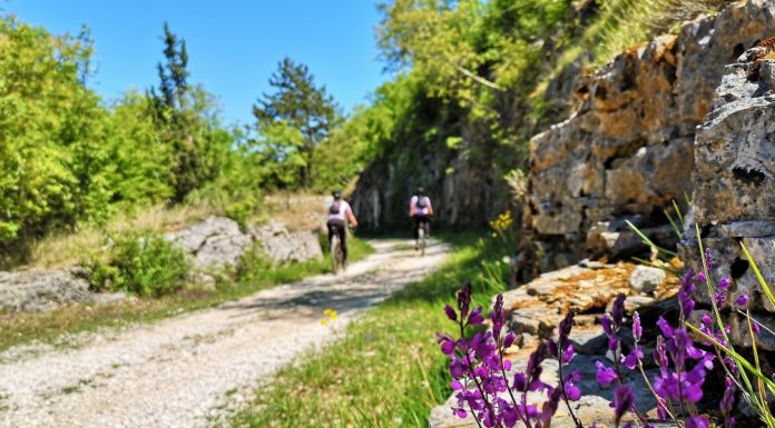 Parenzana: Putovima Clinta Eastwooda do Motovuna