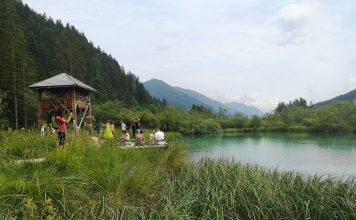 Kranjska gora: Zen na Zelencima i Martuljškim slapovima