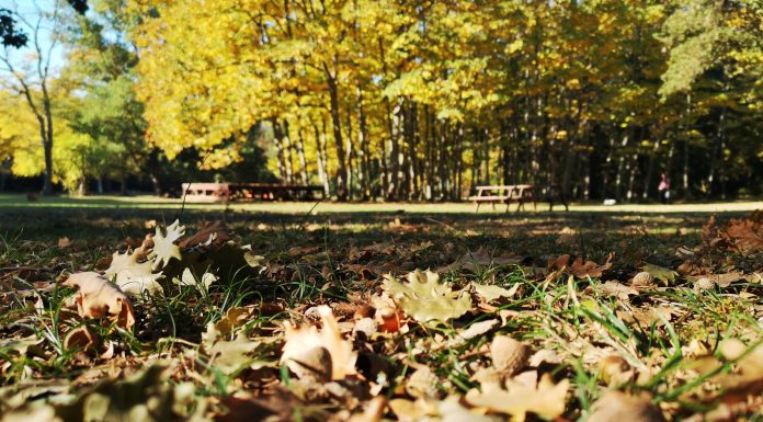 Pula: Šijana, Kaštel i Monte Zaro su mjesta za meditaciju i bijeg od stresa