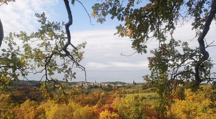 Gologorica: Jesenska rapsodija boja ubitačnog uspona iz Gologoričkog dola