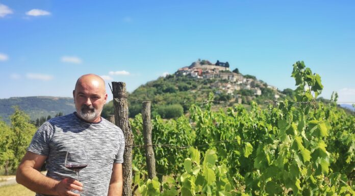 Motovun: Klaudio Tomaz je više od vinara, on je strastveni čuvar motovunskog terana