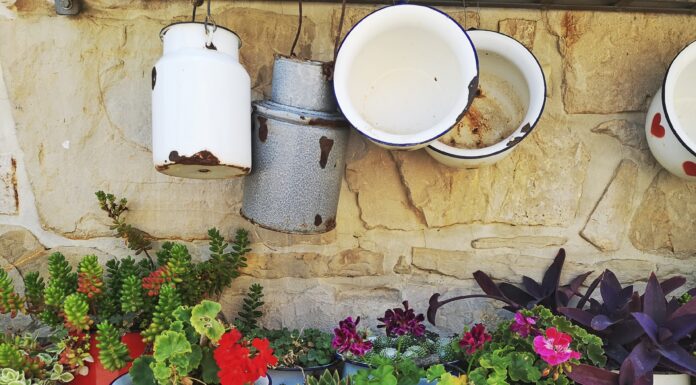 Ipša: Od konobe s ognjištem za desetak ljudi do vrhunskog maslinarskog i vinarskog imanja