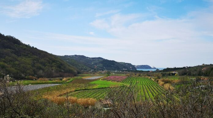 Izola i Kopar: Kako doživjeti najbolje od slovenskog primorja po Parenzani
