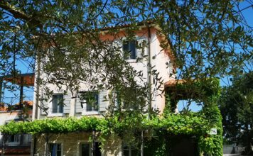 Cuj: Danijel Kraljević s obitelji zahvaljujući ljubavi prema djedu i vinu stvorio raj na Bujštini