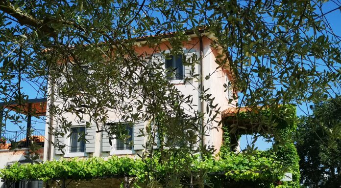 Cuj: Danijel Kraljević s obitelji zahvaljujući ljubavi prema djedu i vinu stvorio raj na Bujštini