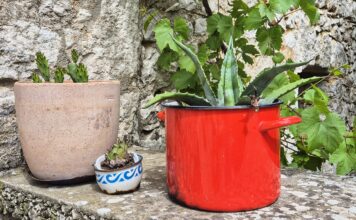 Skitača: Novi dom austrijskog kipara govori o užitku obnove starine