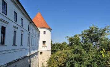 Mokrice i Čatež: Zamak u stoljetnoj šumi i kupanje u termalnim izvorima nadomak Zagreba