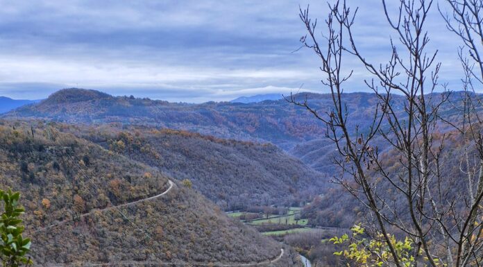 Zrenj: Od Pietrapelose do Zrenja povijesnim cestama i kroz šume pitomih kestena