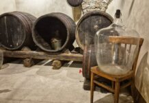 Pula: Muzej vina Istre podsjetio me na stare konobe moga dida i nonića