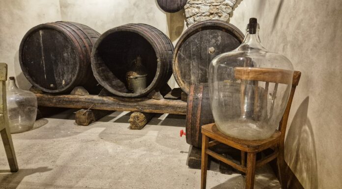 Pula: Muzej vina Istre podsjetio me na stare konobe moga dida i nonića