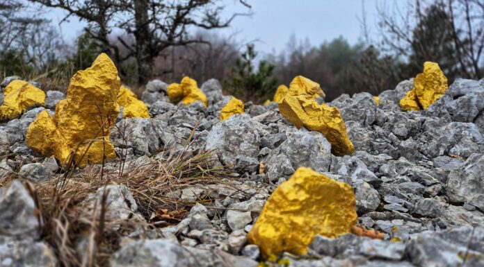 Land Art staza Stražica–Sapaćica: Mistična jesenska avantura na Učki za cijelu obitelj