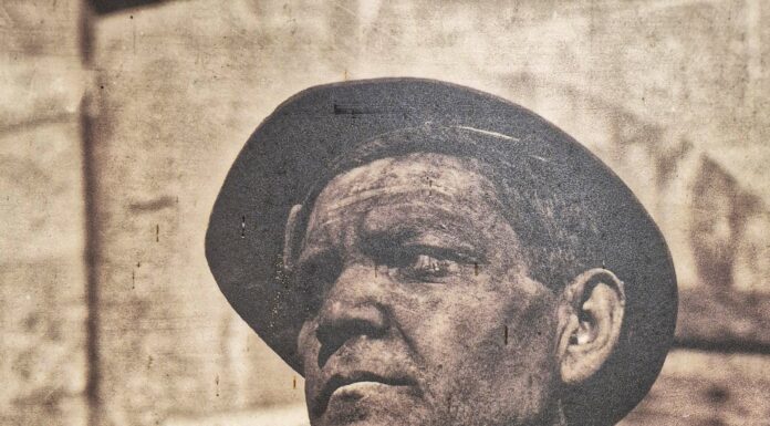 Raša i Kovarska kuća Arsia: Kako su kanarinci i štakori bili najbolji prijatelji rudara