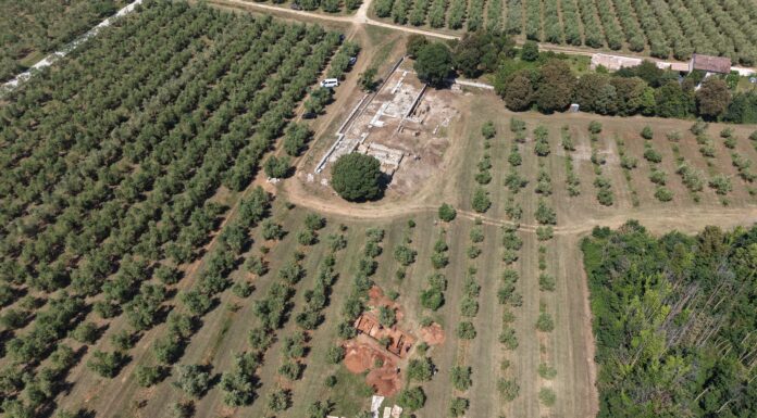Barbariga: Kako je Istra prije dvije tisuće godina proizvodila ulje za Rimsko carstvo